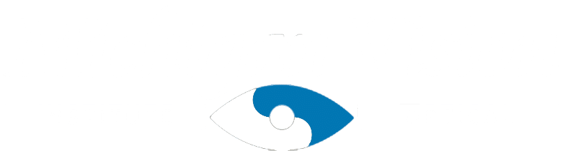 Michigan Vision Institute Logo
